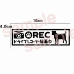 ジャックラッセルテリア ドライブレコーダー ステッカー 犬 ドラレコ