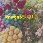 krwtnb様専用ページ