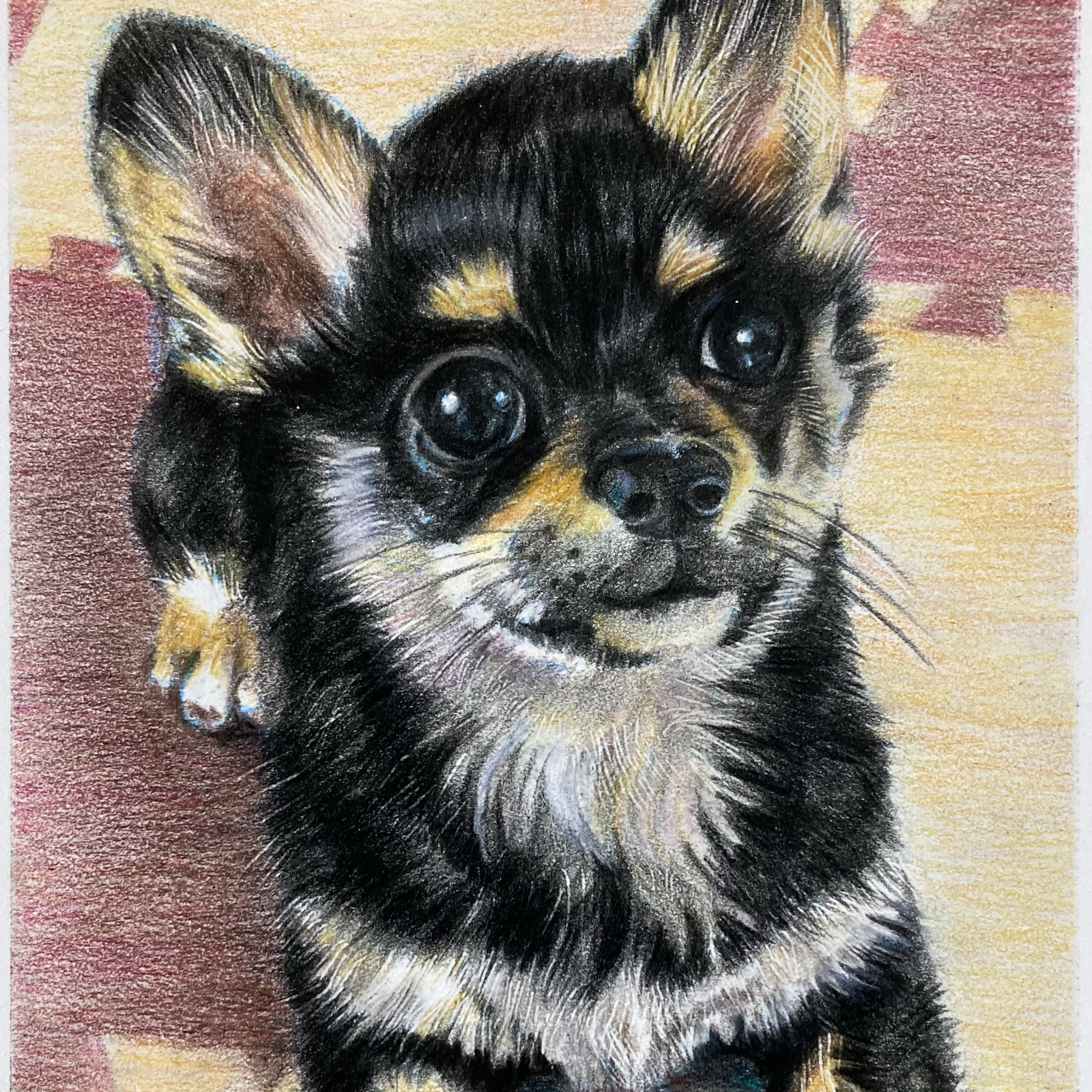専用　色鉛筆画　原画　絵画　オーダーページです オーダーメイド ペット似顔絵依頼 色鉛筆画 絵画 kunihiro 通販