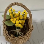 ミモザの花籠