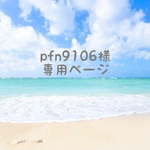 pfn9106様専用ページ