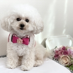 Pink ! Pink !  Pink !