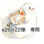 e26-r22様　専用