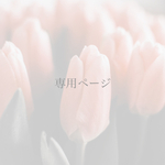 専用ページ