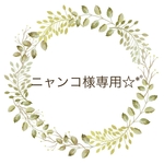 ニャンコ様専用☆*ﾟ