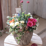 春のお花たっぷりバークポット花束植え