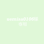 𓂃uemisa0106様専用𓂃