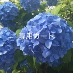aaa-pu様 専用商品
