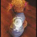 犬服『あれは何じゃ⁉︎』Tシャツ 杢グレー