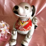 おひなさまスタイ(赤)