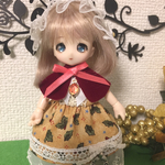 オビツ11用手作りお洋服セット(柊柄