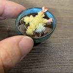 ミニチュア【あったか海老天2本蕎麦】