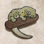 枝付きヤモリブローチ　クチサケヤモリ
