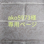 ako5973様の専用ページ