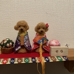 わんちゃんお雛様