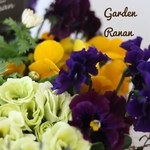 フリフリビオラとジュリアンの春の寄せ植え