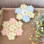 モリーの花✳︎マルチマット　2枚セット
