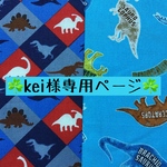 『kei様専用ページ☆キッズ立体マスク2枚★恐竜柄』