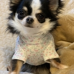 kiko様