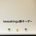 【iwasakingu様専用】追加仕様