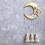    ˳*ॱ crescent moon☽