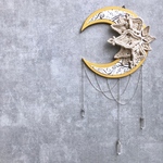    ˳*ॱ crescent moon☽