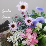 ❁❀✿✾ローダンセマムとジュリアンのcuteで可愛い春の寄せ植え