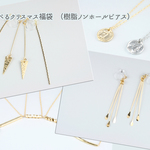 選べるクリスマス福袋（樹脂ノンホールピアス）
