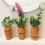グリーンコルク寄せ植え☆