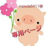 maieda5411様専用ページ　レッスンバッグ １点《電車　新幹線　鉄道》男の子　かっこいい