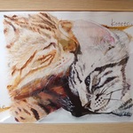似顔絵　ペット似顔絵　猫似顔絵　犬似顔絵　描きます。（B5サイズ）