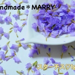 スターチス♡1g