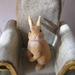 うさぎコザラ～金の椅子