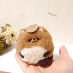 ◯ モフモフたぬき ◯