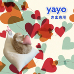 yayoさま専用