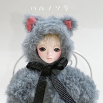 灰色猫の男の子