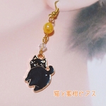 振り向き猫と蜜柑ピアス