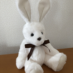 優しいうさぎ(ホワイト)