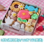 ホワイトデークッキー缶＊3月2週目便
