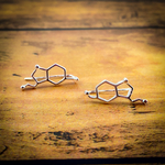 幸せホルモン セロトニン (silver)化学構造式記号のおもしろピアス