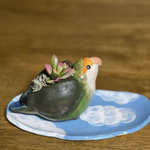 可愛い小桜インコの多肉植物寄せ植えつき植木鉢&青空プレート