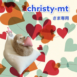 christy-mtさま専用