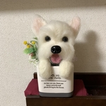 お花付き　額縁犬オーダー受付中！！
