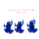 コバルトヤドクガエル☆ブローチ☆