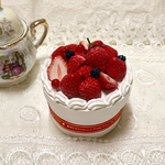 イチゴのケーキボックス(送料込み)