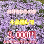 4点セット　3,000円　選べる　HAPPY BAG  福袋