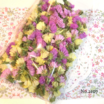 ♡new♡ ♡作家様必見♡ ♡スターチス　ドライフラワー♡