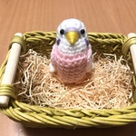 セキセイインコちゃん（ピンク・モヘア入り）