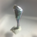 真珠基本セット