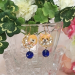 コーギースマイル&おちりピアス